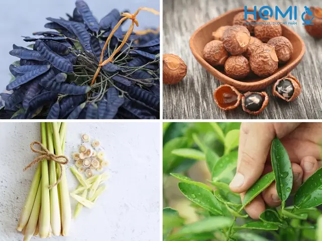 Chuẩn Bị Nguyên Liệu Để Nấu Dầu Gội Bồ Kết Chuẩn Bị Nguyên Liệu Để Nấu Dầu Gội Bồ Kết