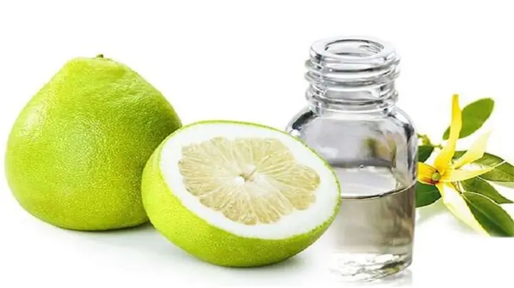 Có Nên Sử Dụng Tinh Dầu Bưởi Để Gội Đầu?