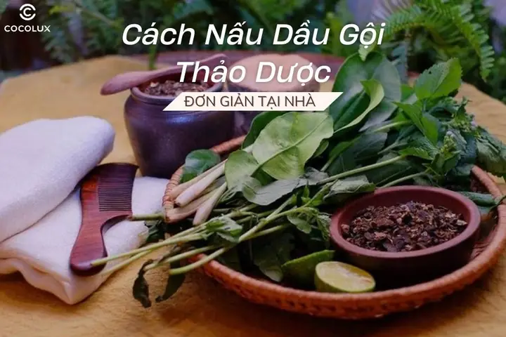 Cách Nấu Dầu Gội Thảo Dược Tại Nhà Đơn Giản, Hiệu Quả, An Toàn Cách Nấu Dầu Gội Thảo Dược Tại Nhà Đơn Giản, Hiệu Quả, An Toàn