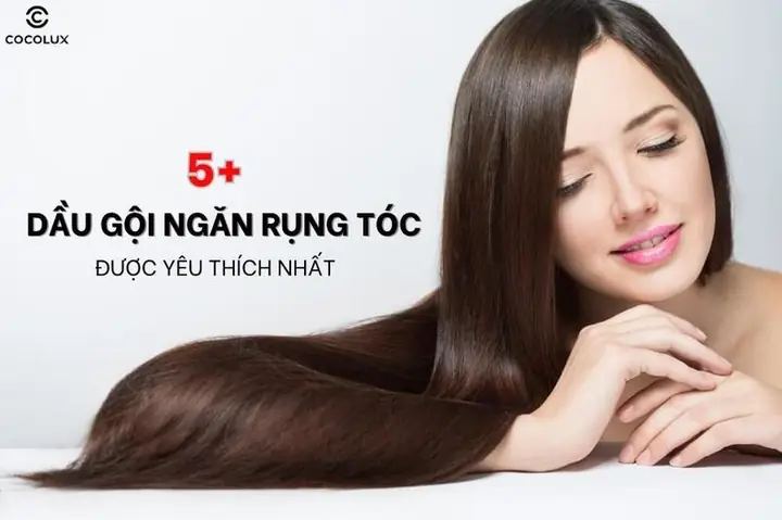 Top 5+ Dầu Gội Trị Rụng Tóc Tốt Nhất, Hiệu Quả 100% Top 5+ Dầu Gội Trị Rụng Tóc Tốt Nhất, Hiệu Quả 100%