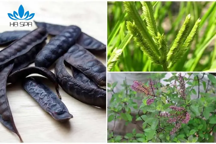 4. Cách nấu dầu gội thảo dược cô đặc từ hương nhu và bồ kết, cỏ mần trầu 4. Cách nấu dầu gội thảo dược cô đặc từ hương nhu và bồ kết, cỏ mần trầu