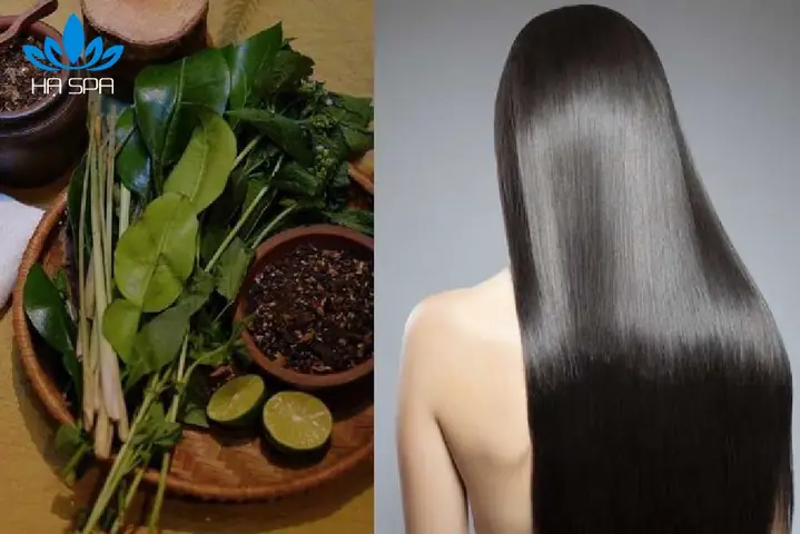 5. Một số điều cần lưu ý khi tự nấu dầu gội thảo dược cô đặc 5. Một số điều cần lưu ý khi tự nấu dầu gội thảo dược cô đặc