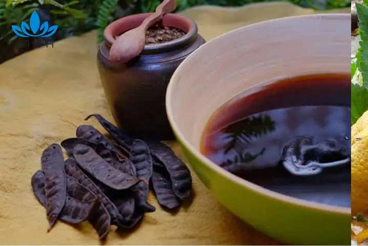 1. Cách nấu dầu gội thảo dược cô đặc từ bồ kết 1. Cách nấu dầu gội thảo dược cô đặc từ bồ kết