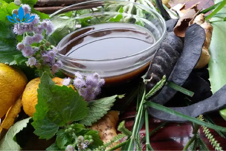 1. Cách nấu dầu gội thảo dược cô đặc từ bồ kết