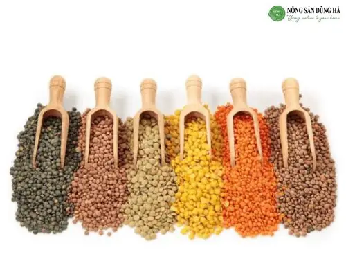 Các loại đậu lăng Các loại đậu lăng