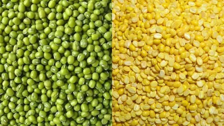 Cách Chọn Mua Đậu Xanh Tróc Vỏ Ngon, Chất Lượng