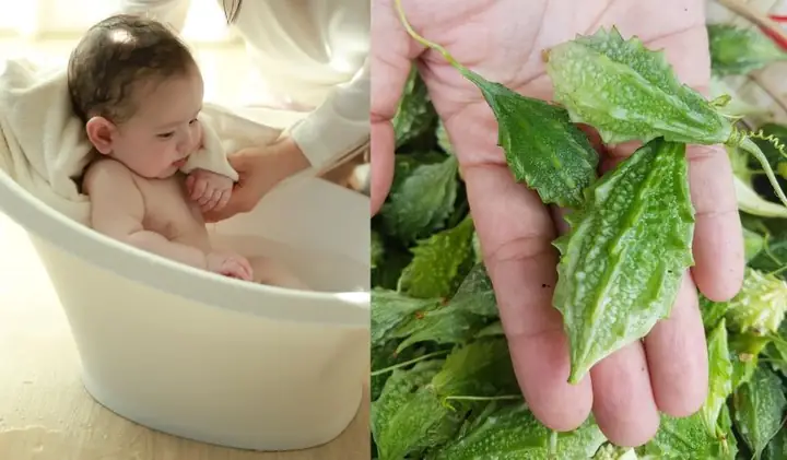 1khổ Qua Rừng Là Gì?