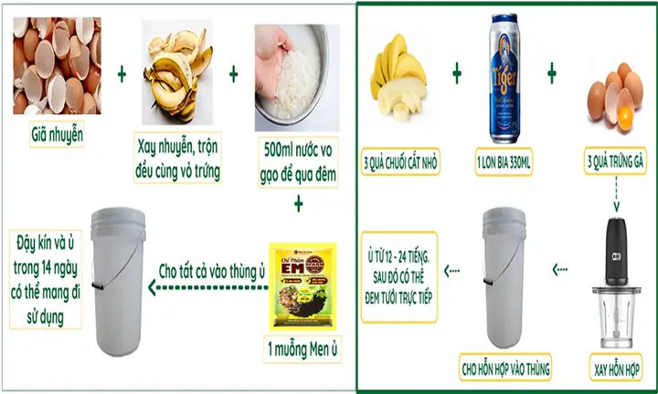 4.3. Cách làm dịch chuối tưới lan với bia 4.3. Cách làm dịch chuối tưới lan với bia