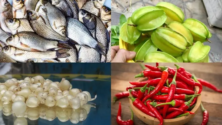 1Nguyên liệu làm món cá diếc kho khế chua 1Nguyên liệu làm món cá diếc kho khế chua