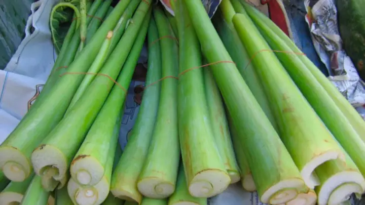 Cách Làm Dọc Mùng Ngâm Nước Muối Giòn Cách Làm Dọc Mùng Ngâm Nước Muối Giòn