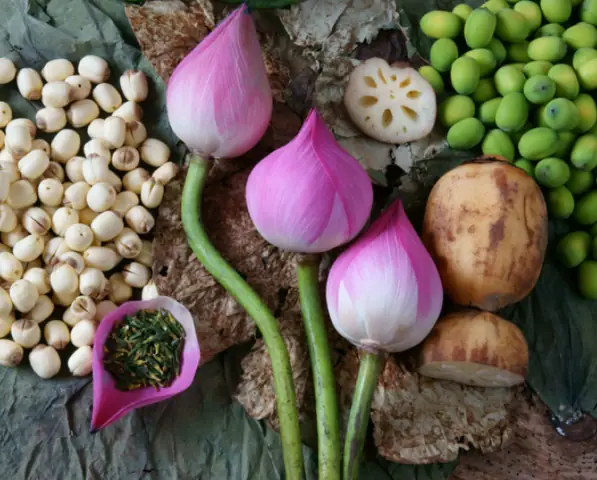 Bước 2: Sơ Chế Hạt Sen, Củ Sen