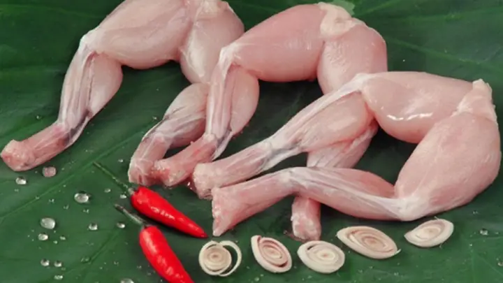 Cách chọn mua ếch Cách chọn mua ếch