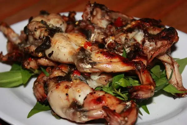 Hướng Dẫn Cách Chế Biến Ếch Nướng Mọi Hấp Dẫn Cho Bữa Ăn Gia Đình Hướng Dẫn Cách Chế Biến Ếch Nướng Mọi Hấp Dẫn Cho Bữa Ăn Gia Đình