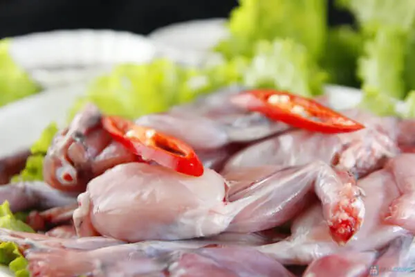 Video đang HOT Video đang HOT