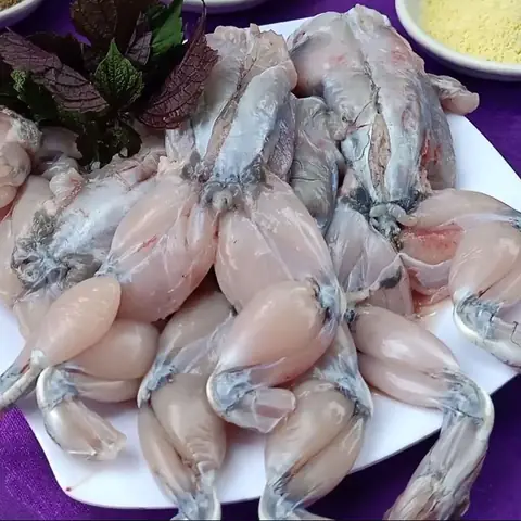 Video đang HOT Video đang HOT