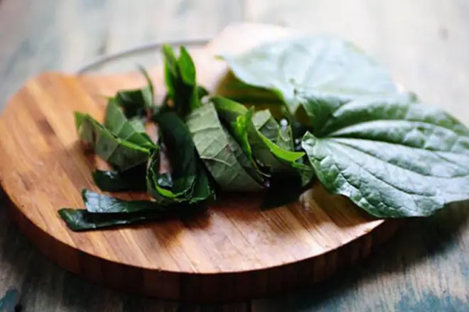 Công thức chế biến món ếch xào lá lốt thơm ngon, bổ dưỡng Công thức chế biến món ếch xào lá lốt thơm ngon, bổ dưỡng