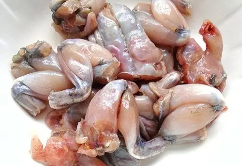 Cách nấu ếch xào cà tím thơm ngon đậm vị Cách nấu ếch xào cà tím thơm ngon đậm vị