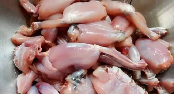 Bước 2: Sơ Chế Ếch