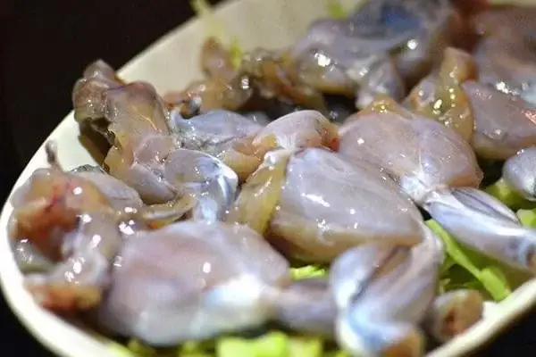 Những Lợi Ích Của Thịt Ếch Đối Với Sức Khỏe