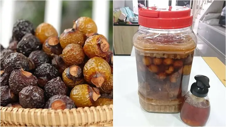 1Enzym bồ hòn là gì?