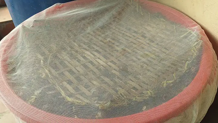 2Cách ủ enzym bồ hòn 2Cách ủ enzym bồ hòn