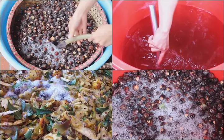 2Cách ủ enzym bồ hòn 2Cách ủ enzym bồ hòn