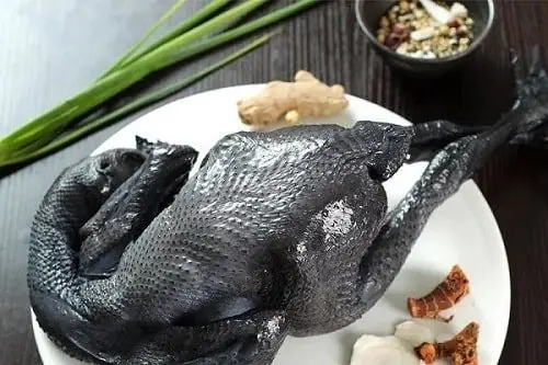 Vì Sao Gà Ác Hầm Hạt Sen Lại Giàu Dinh Dưỡng Đến Vậy?