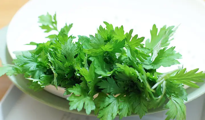 Sơ chế nguyên liệu Sơ chế nguyên liệu