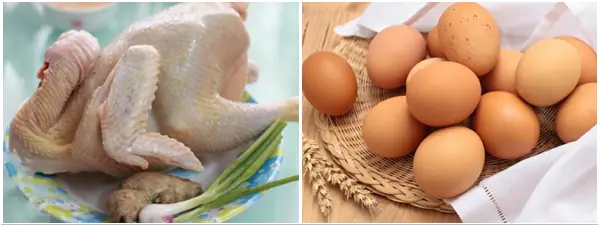 Cách Làm Thịt Gà Kho Tàu Ngon Đơn Giản Dễ Làm - 1 Cách Làm Thịt Gà Kho Tàu Ngon Đơn Giản Dễ Làm - 1