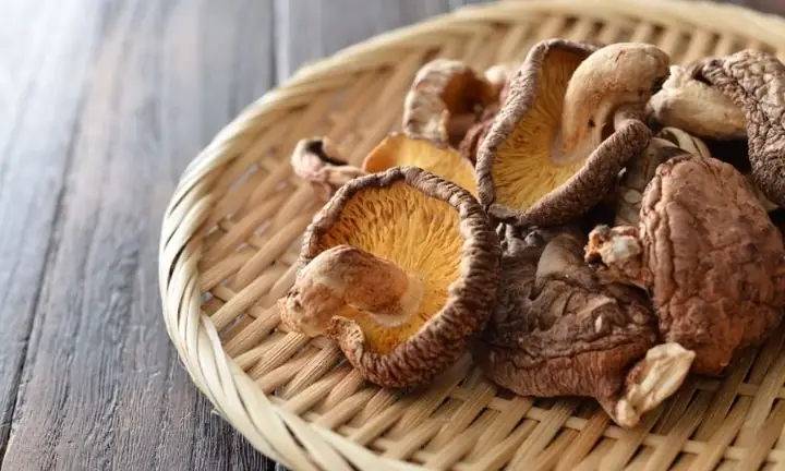 Câu Hỏi Thường Gặp Về Canh Gà Nấm Đông Cô Giải Cảm