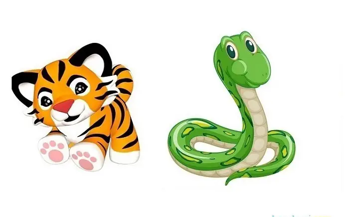 cách nấu gấc với đường cách nấu gấc với đường