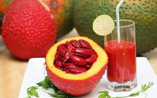 cách nấu gấc với đường cách nấu gấc với đường