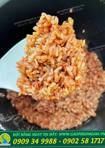 cách nấu gạo lứt đỏ điện biên cách nấu gạo lứt đỏ điện biên