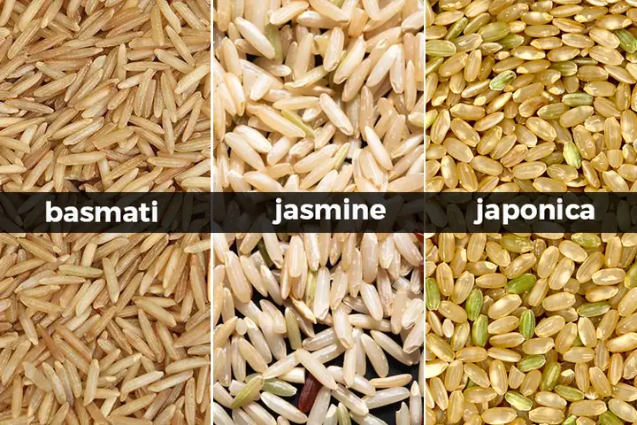 CÁC LOẠI GẠO LỨT CÁC LOẠI GẠO LỨT