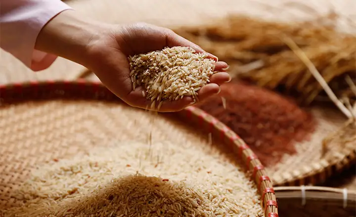 Hướng Dẫn Cách Nấu Cơm Gạo Lứt Ngon Dễ Dàng Hướng Dẫn Cách Nấu Cơm Gạo Lứt Ngon Dễ Dàng