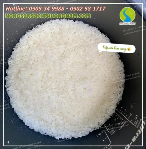 Cách Nấu Nếp Cái Hoa Vàng Ngon Bằng Nồi Cơm Điện (nồi Có Chế Độ Nấu Xôi)