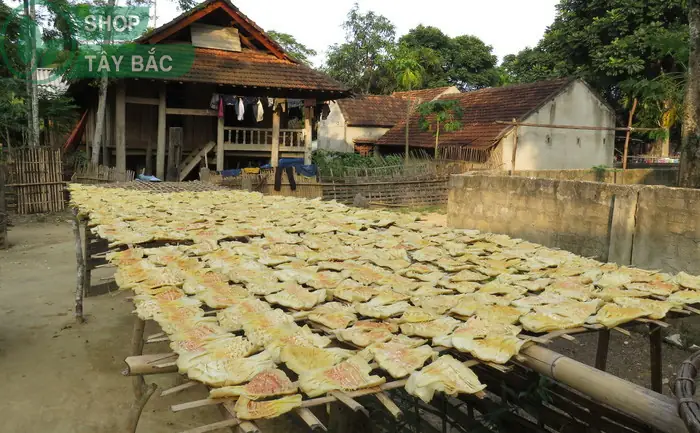 Cách Nấu Gạo Nếp Non Tú Lệ Dẻo Thơm Tại Nhà Cách Nấu Gạo Nếp Non Tú Lệ Dẻo Thơm Tại Nhà