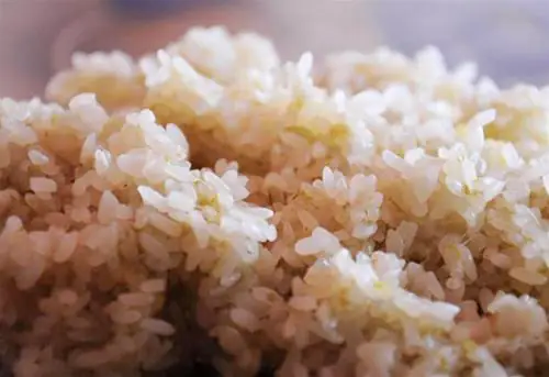 Xôi nếp non Tú Lệ