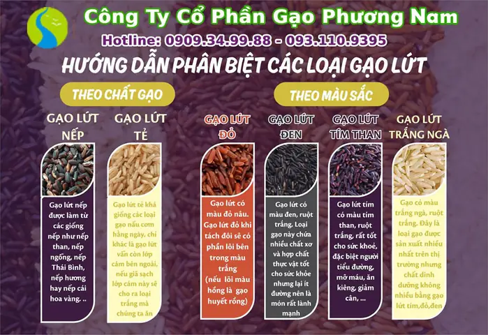 Cách nấu gạo lứt tím than thơm ngon dẻo không bị khô cứng cơm Cách nấu gạo lứt tím than thơm ngon dẻo không bị khô cứng cơm