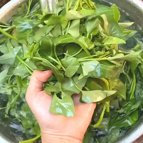 Sơ chế nguyên liệu