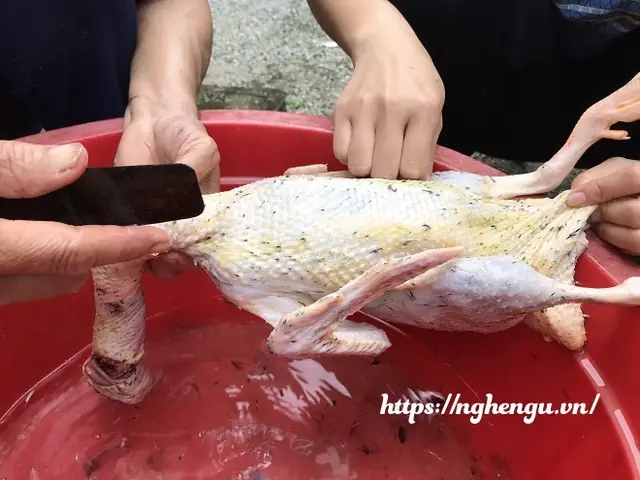 1. Món vịt giả cầy Nghệ An cần nguyên liệu gì?