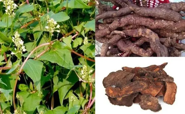 Nhuộm Tóc Đen Hiệu Quả