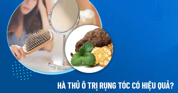 Cách Nấu Hà Thủ Ô Trị Rụng Tóc Đúng Cách Tại Nhà Cách Nấu Hà Thủ Ô Trị Rụng Tóc Đúng Cách Tại Nhà