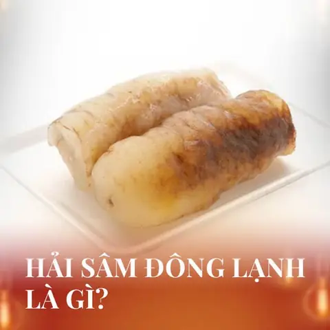 1. Hải sâm đông lạnh là gì?
