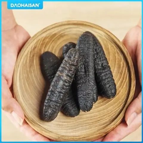 Top 3 Món Ngon Từ Hải Sâm Và Những Lợi Ích Của Hải Sâm
