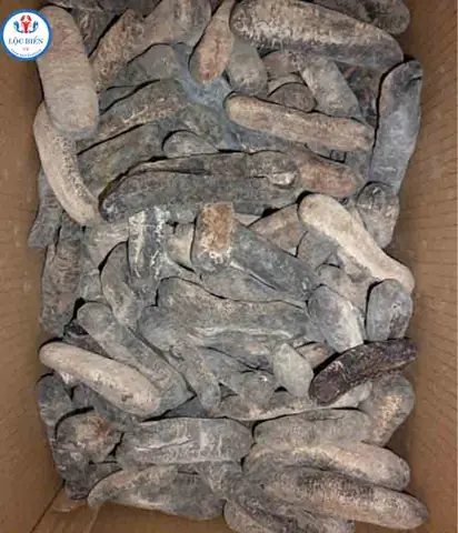 HaÌi sÃ¢m khÃ´ laÌ giÌ?