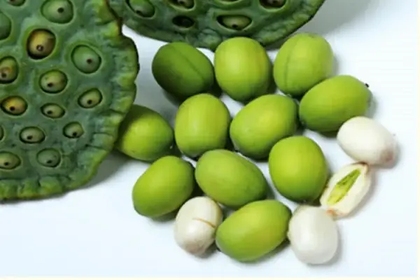 Tác Dụng Của Chè Hạt Sen