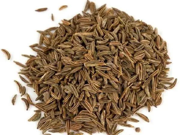 Cách Dùng Và Công Dụng Của Hạt Thì Là