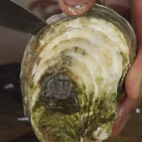 Sơ chế các nguyên liệu Sơ chế các nguyên liệu