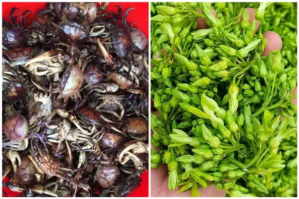 Nguyên liệu Nguyên liệu